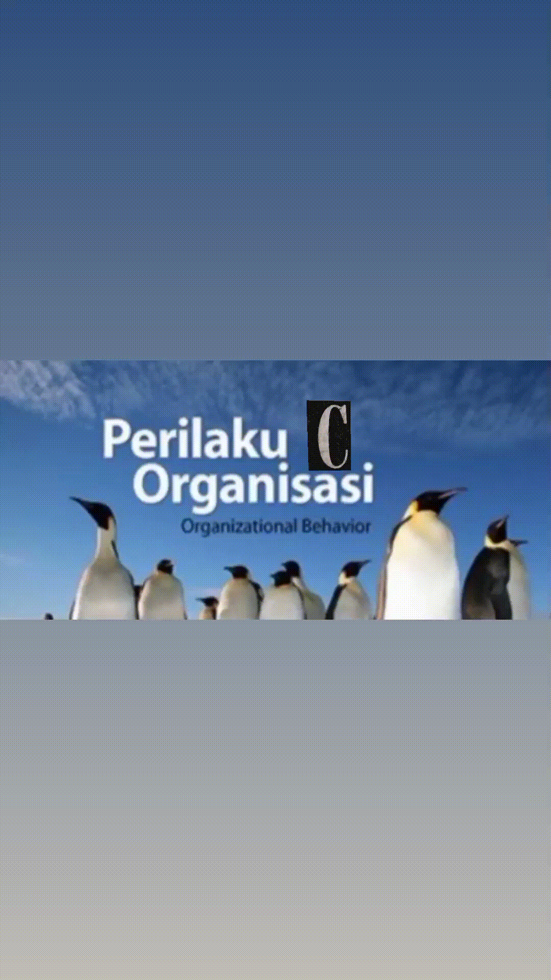 PERILAKU KEORGANISASIAN - C