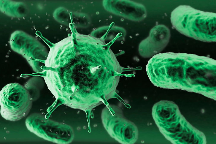 Mikrobiologi (A)