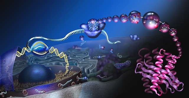 Biologi Molekuler (A)